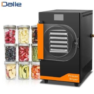 Dalle DFD-10 Yüksek Teknolojili Freeze Dryer Dondurarak Kurutma Fırını - Liyofilizatör